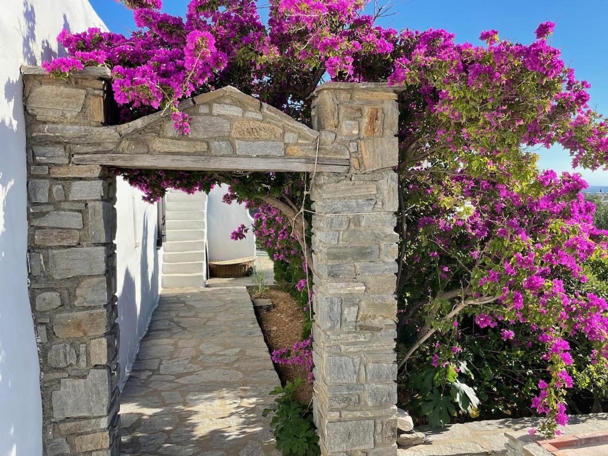 Villa Zeus - Parikia - Paros - Grece Krotiri Zewnętrze zdjęcie